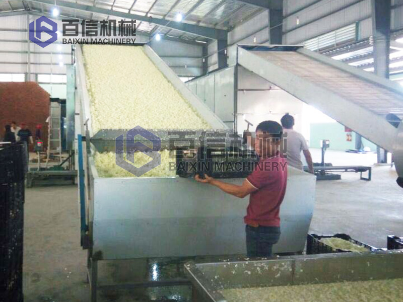 蘿卜烘干機(jī)