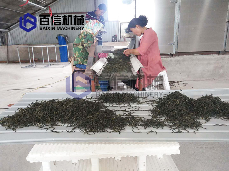 河南豆角烘干機(jī)