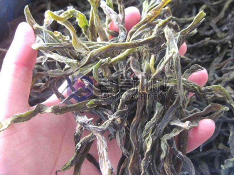 河南豆角烘干機