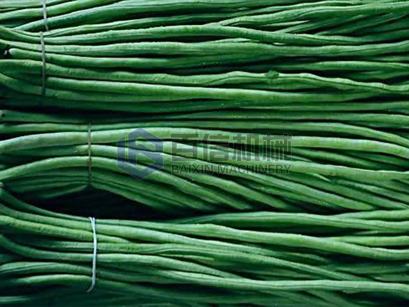 河南豆角烘干機