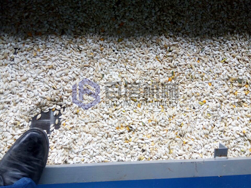 河南瓜子烘干機(jī)