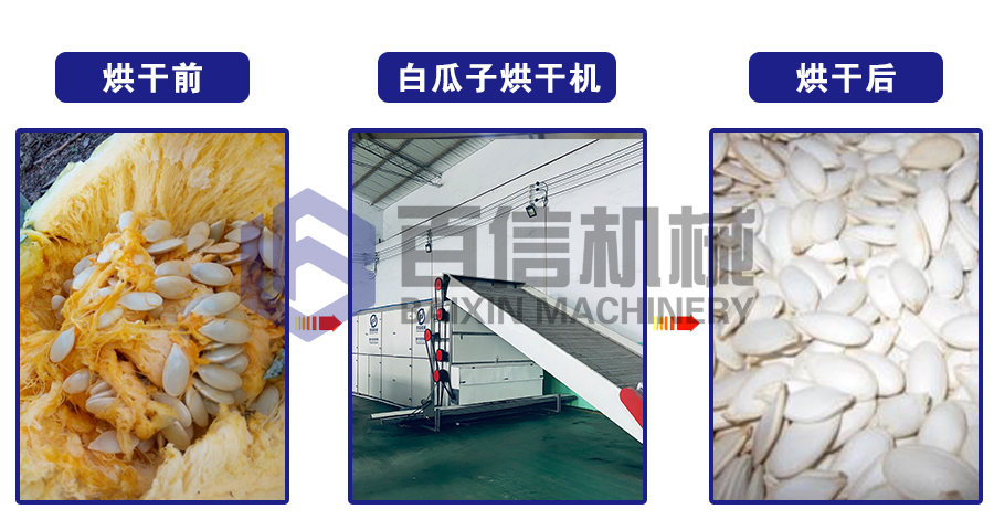 瓜子烘干機(jī)