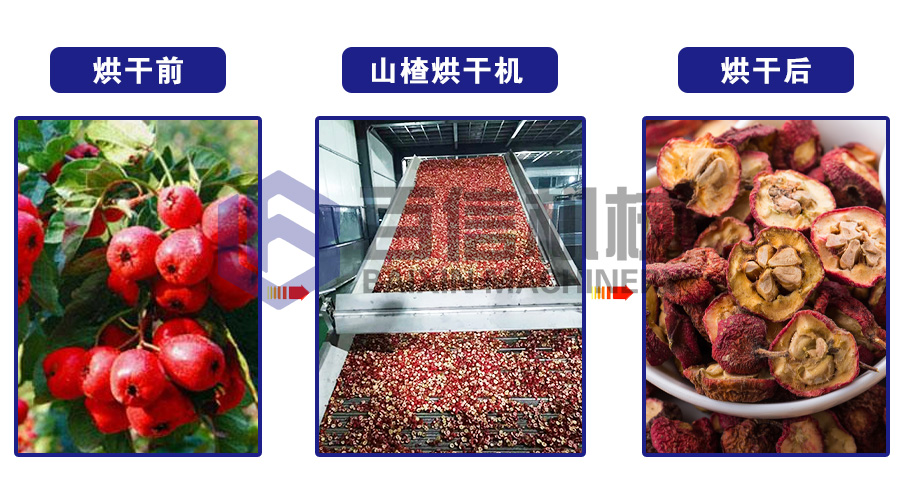 山楂烘干機