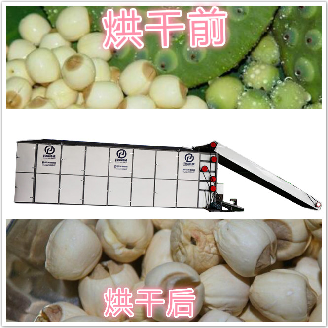 蓮籽烘干機
