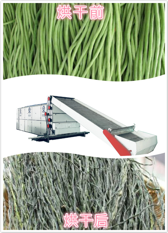 豆角烘干機