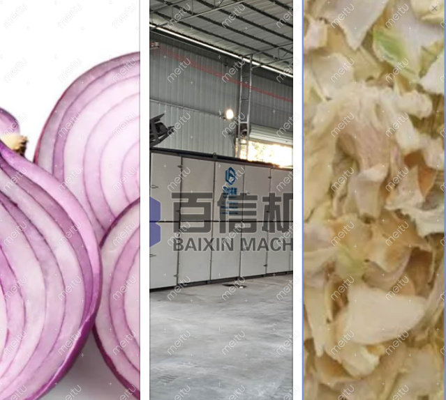 洋蔥烘干機