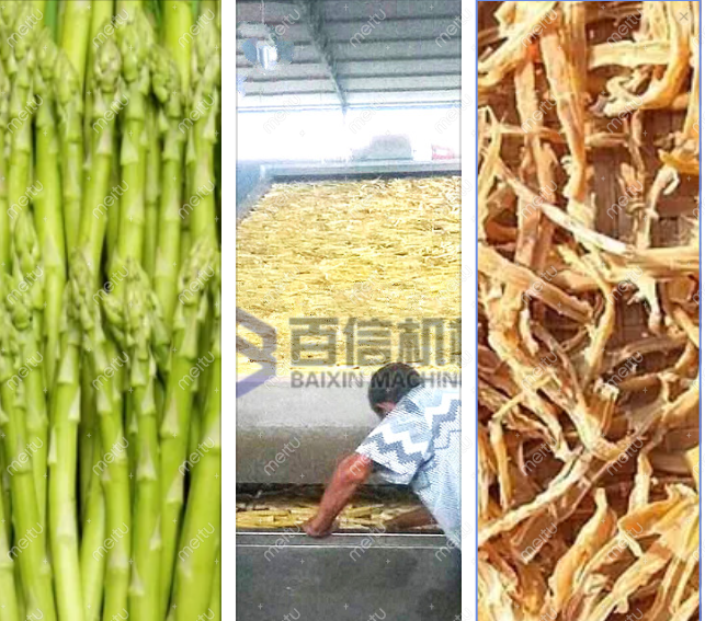 筍干烘干機